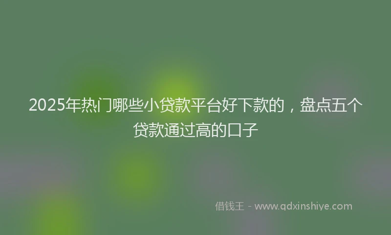 2025年热门哪些小贷款平台好下款的，盘点五个贷款通过高的口子