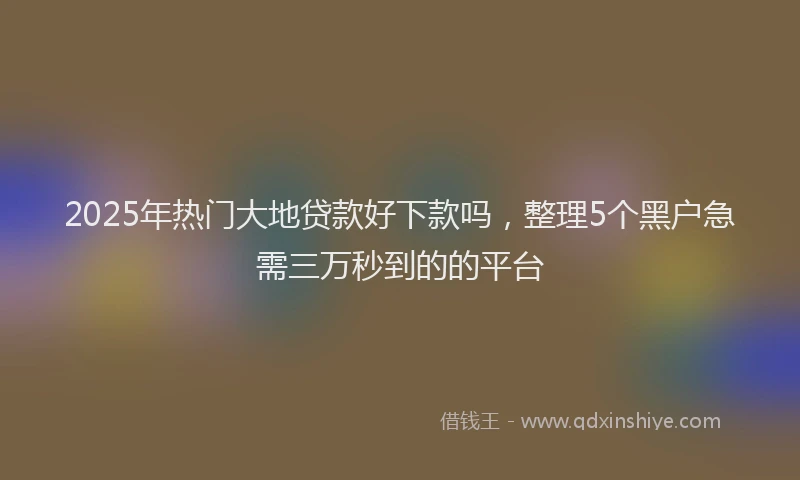 2025年热门大地贷款好下款吗，整理5个黑户急需三万秒到的的平台