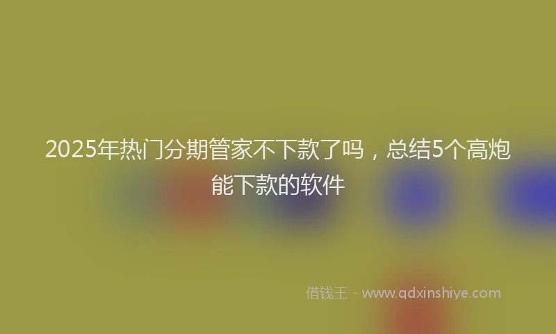 2025年热门分期管家不下款了吗，总结5个高炮能下款的软件