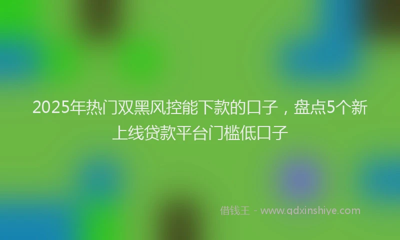 2025年热门双黑风控能下款的口子，盘点5个新上线贷款平台门槛低口子