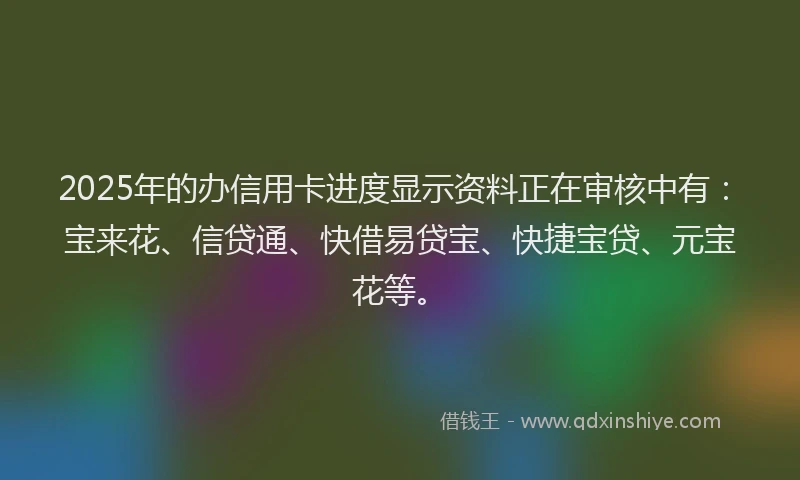 2025年的办信用卡进度显示资料正在审核中有：宝来花、信贷通、快借易贷宝、快捷宝贷、元宝花等。