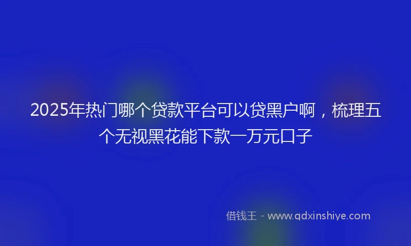 2025年热门哪个贷款平台可以贷黑户啊，梳理五个无视黑花能下款一万元口子