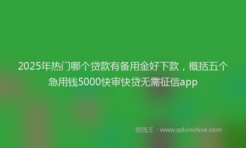2025年热门哪个贷款有备用金好下款，概括五个急用钱5000快审快贷无需征信app