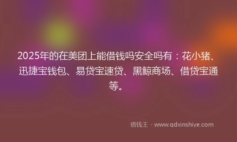 2025年的在美团上能借钱吗安全吗有：花小猪、迅捷宝钱包、易贷宝速贷、黑鲸商场、借贷宝通等。