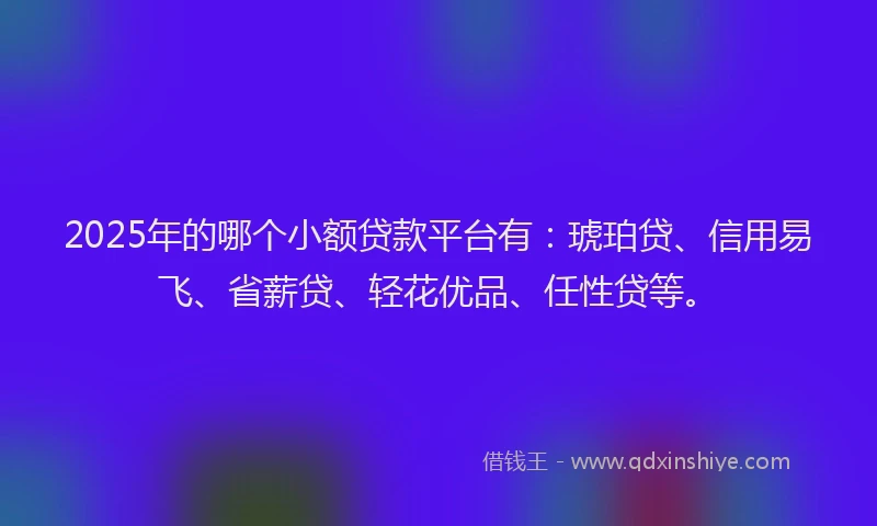 2025年的哪个小额贷款平台有：琥珀贷、信用易飞、省薪贷、轻花优品、任性贷等。