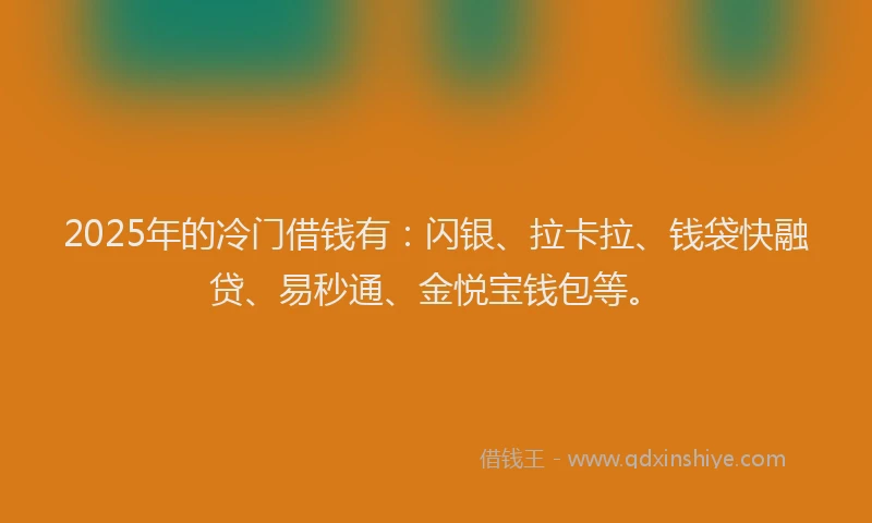 2025年的冷门借钱有：闪银、拉卡拉、钱袋快融贷、易秒通、金悦宝钱包等。