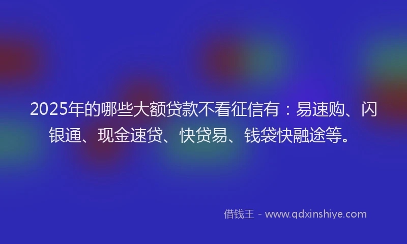 2025年的哪些大额贷款不看征信有：易速购、闪银通、现金速贷、快贷易、钱袋快融途等。