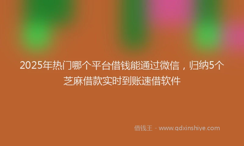 2025年热门哪个平台借钱能通过微信，归纳5个芝麻借款实时到账速借软件