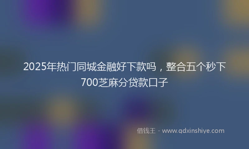 2025年热门同城金融好下款吗，整合五个秒下700芝麻分贷款口子