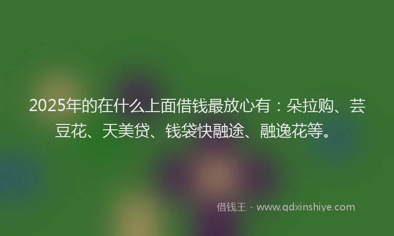 2025年的在什么上面借钱最放心有：朵拉购、芸豆花、天美贷、钱袋快融途、融逸花等。