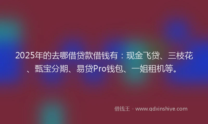 2025年的去哪借贷款借钱有：现金飞贷、三枝花、甄宝分期、易贷Pro钱包、一姐租机等。