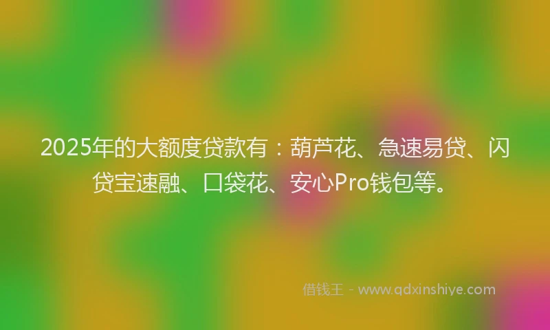 2025年的大额度贷款有：葫芦花、急速易贷、闪贷宝速融、口袋花、安心Pro钱包等。