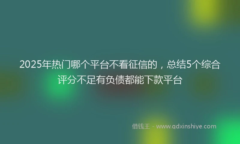 2025年热门哪个平台不看征信的，总结5个综合评分不足有负债都能下款平台