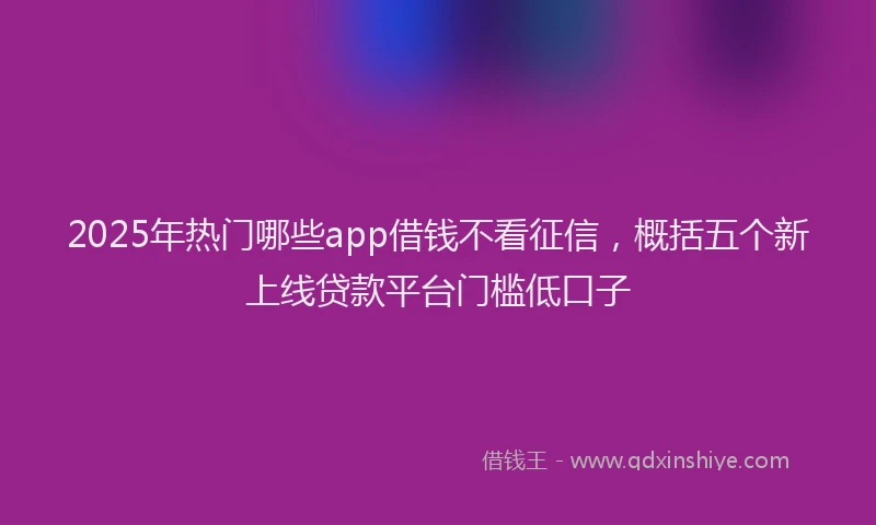 2025年热门哪些app借钱不看征信，概括五个新上线贷款平台门槛低口子