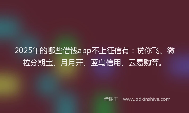 2025年的哪些借钱app不上征信有：贷你飞、微粒分期宝、月月开、蓝鸟信用、云易购等。