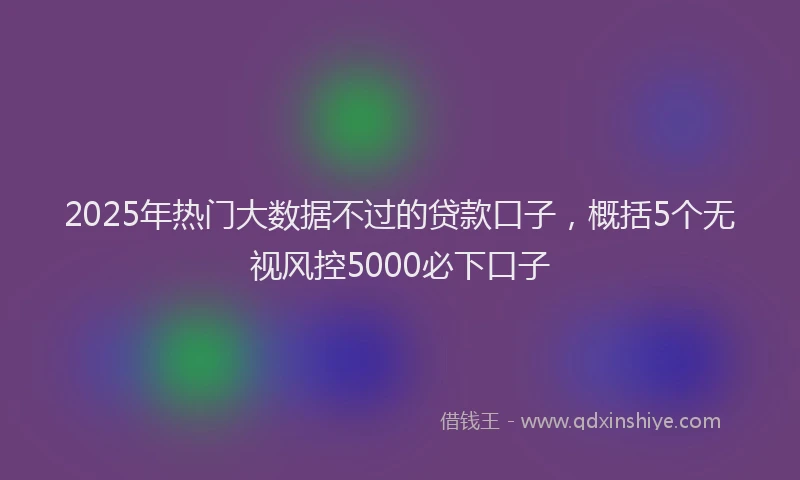2025年热门大数据不过的贷款口子，概括5个无视风控5000必下口子