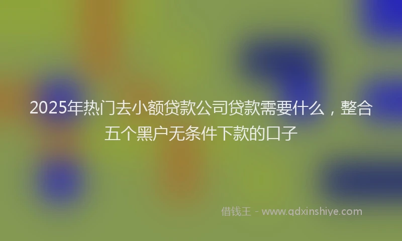 2025年热门去小额贷款公司贷款需要什么，整合五个黑户无条件下款的口子