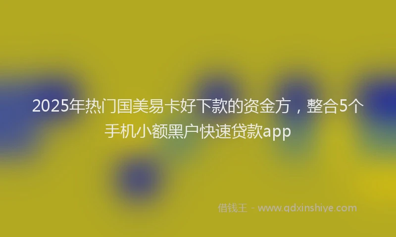 2025年热门国美易卡好下款的资金方，整合5个手机小额黑户快速贷款app