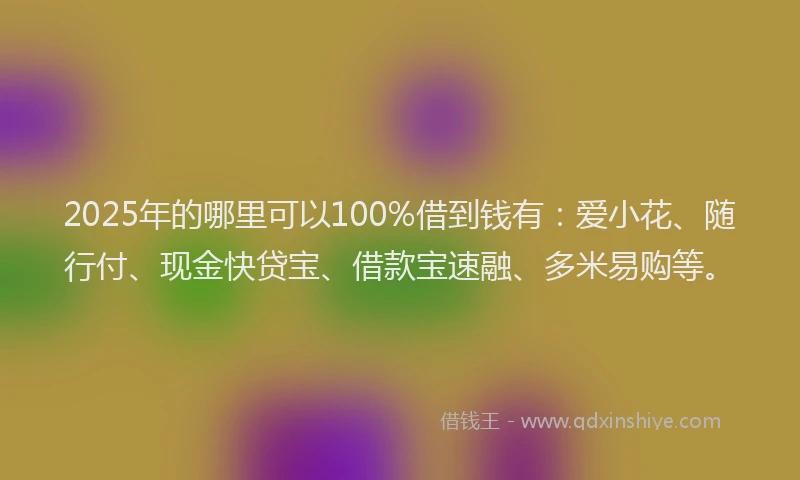 2025年的哪里可以100%借到钱有：爱小花、随行付、现金快贷宝、借款宝速融、多米易购等。