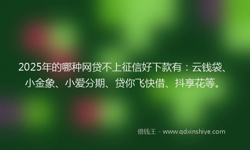 2025年的哪种网贷不上征信好下款有：云钱袋、小金象、小爱分期、贷你飞快借、抖享花等。