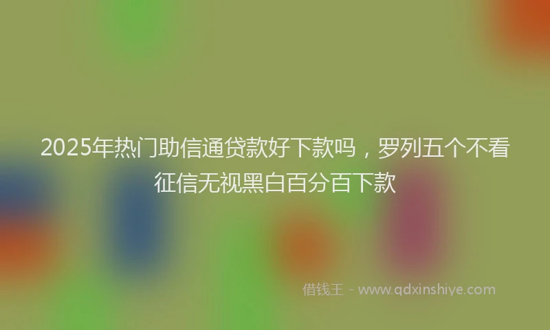 2025年热门助信通贷款好下款吗，罗列五个不看征信无视黑白百分百下款