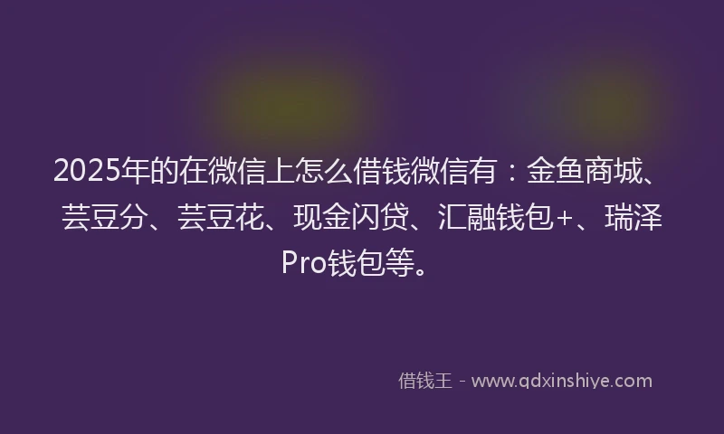 2025年的在微信上怎么借钱微信有：金鱼商城、芸豆分、芸豆花、现金闪贷、汇融钱包+、瑞泽Pro钱包等。