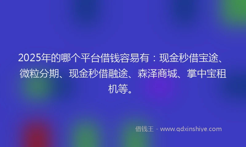2025年的哪个平台借钱容易有：现金秒借宝途、微粒分期、现金秒借融途、森泽商城、掌中宝租机等。