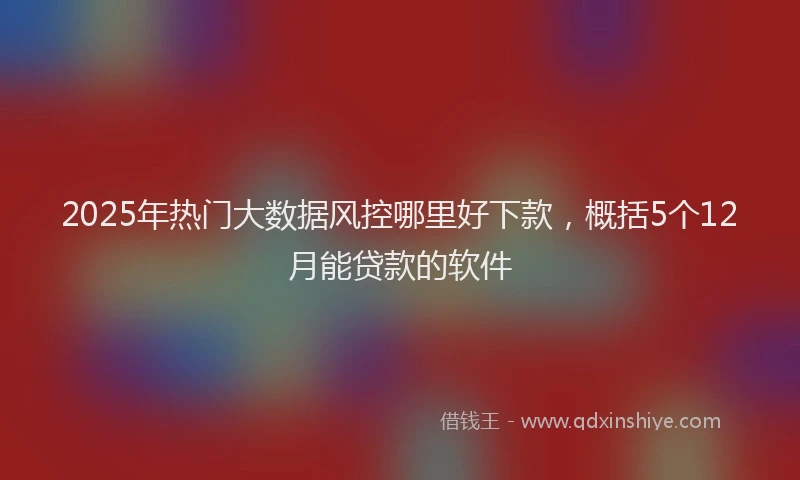 2025年热门大数据风控哪里好下款，概括5个12月能贷款的软件