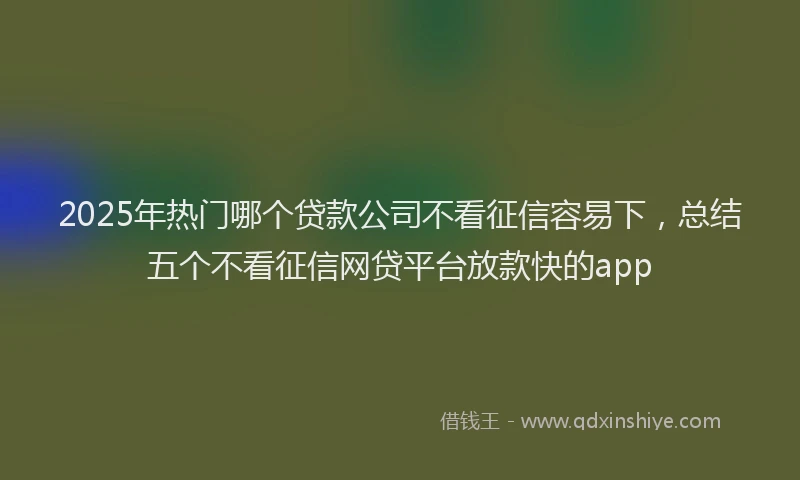 2025年热门哪个贷款公司不看征信容易下，总结五个不看征信网贷平台放款快的app