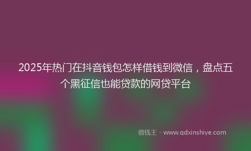 2025年热门在抖音钱包怎样借钱到微信，盘点五个黑征信也能贷款的网贷平台