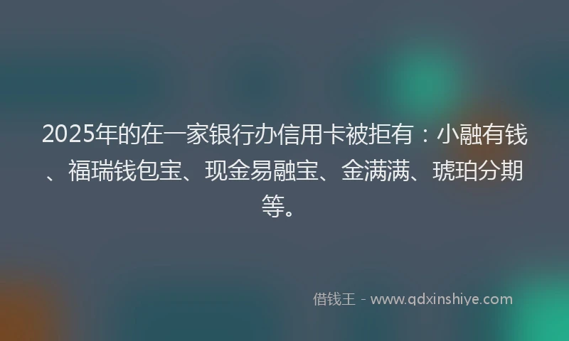 2025年的在一家银行办信用卡被拒有：小融有钱、福瑞钱包宝、现金易融宝、金满满、琥珀分期等。