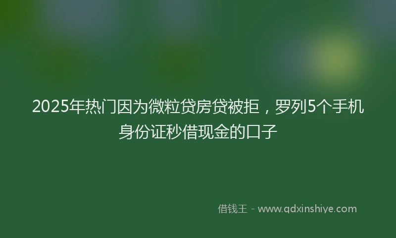 2025年热门因为微粒贷房贷被拒，罗列5个手机身份证秒借现金的口子