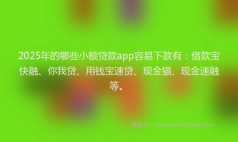 2025年的哪些小额贷款app容易下款有：借款宝快融、你我贷、用钱宝速贷、现金猫、现金速融等。