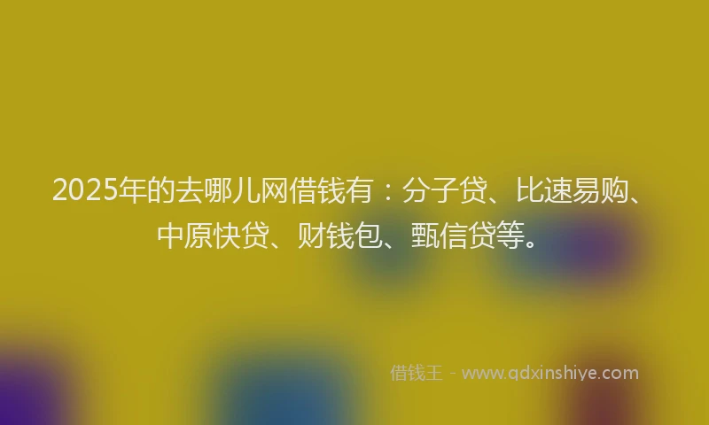 2025年的去哪儿网借钱有：分子贷、比速易购、中原快贷、财钱包、甄信贷等。