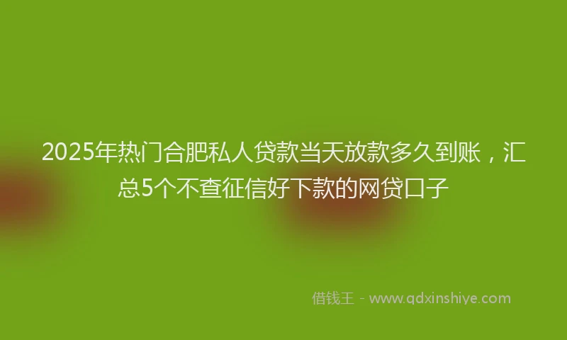2025年热门合肥私人贷款当天放款多久到账，汇总5个不查征信好下款的网贷口子
