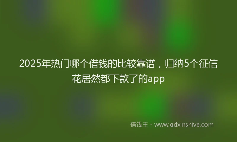 2025年热门哪个借钱的比较靠谱，归纳5个征信花居然都下款了的app