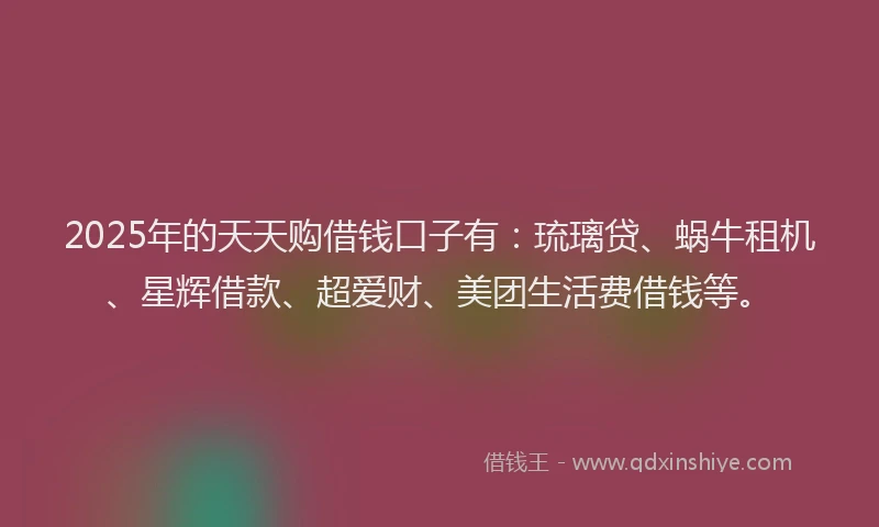 2025年的天天购借钱口子有：琉璃贷、蜗牛租机、星辉借款、超爱财、美团生活费借钱等。