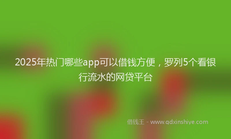 2025年热门哪些app可以借钱方便，罗列5个看银行流水的网贷平台