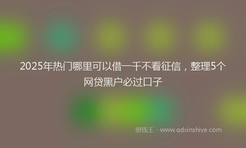 2025年热门哪里可以借一千不看征信，整理5个网贷黑户必过口子