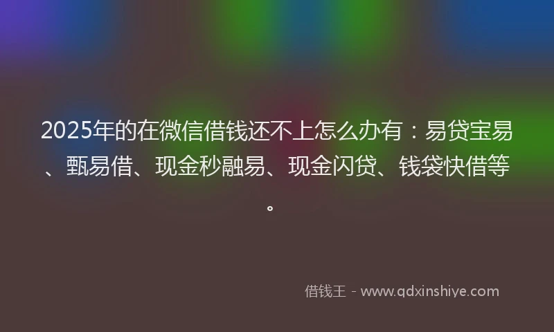 2025年的在微信借钱还不上怎么办有：易贷宝易、甄易借、现金秒融易、现金闪贷、钱袋快借等。