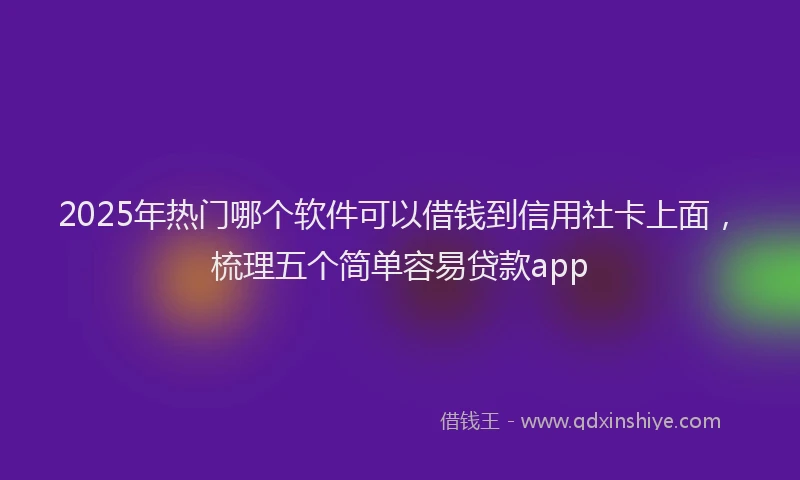 2025年热门哪个软件可以借钱到信用社卡上面，梳理五个简单容易贷款app