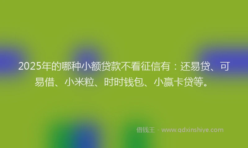 2025年的哪种小额贷款不看征信有：还易贷、可易借、小米粒、时时钱包、小赢卡贷等。