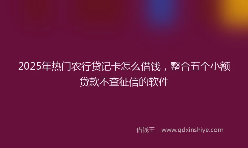 2025年热门农行贷记卡怎么借钱，整合五个小额贷款不查征信的软件