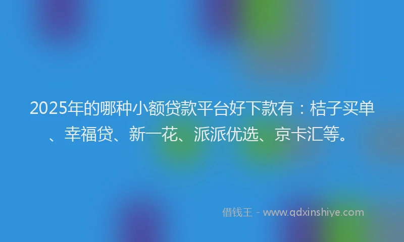 2025年的哪种小额贷款平台好下款有：桔子买单、幸福贷、新一花、派派优选、京卡汇等。
