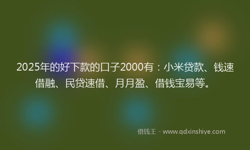 2025年的好下款的口子2000有：小米贷款、钱速借融、民贷速借、月月盈、借钱宝易等。