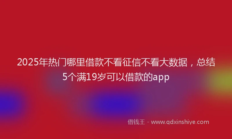 2025年热门哪里借款不看征信不看大数据，总结5个满19岁可以借款的app