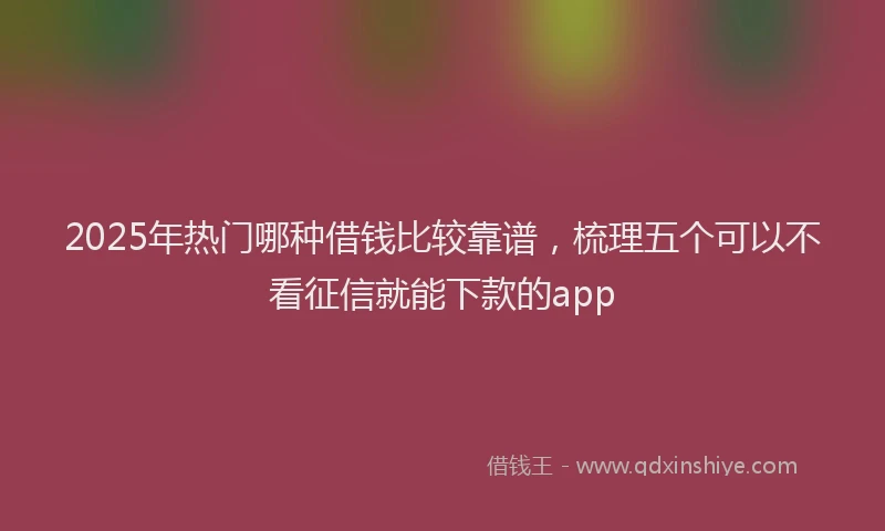 2025年热门哪种借钱比较靠谱，梳理五个可以不看征信就能下款的app