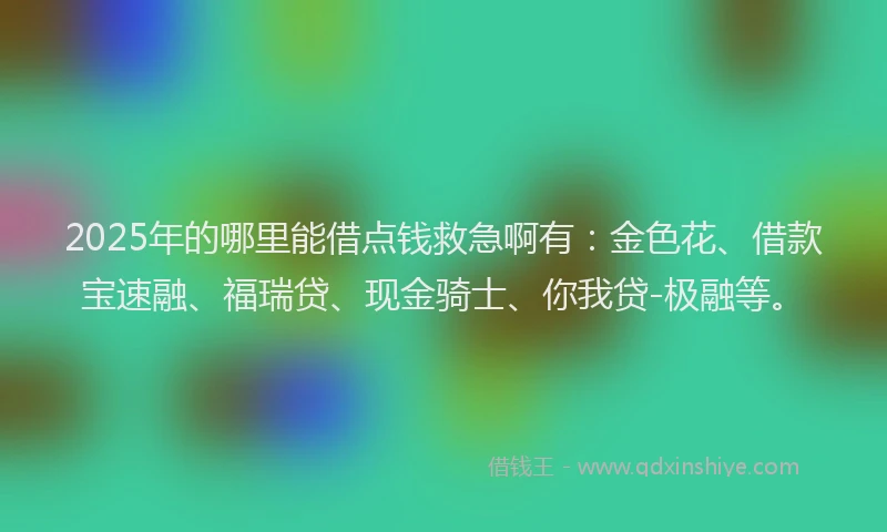 2025年的哪里能借点钱救急啊有：金色花、借款宝速融、福瑞贷、现金骑士、你我贷-极融等。