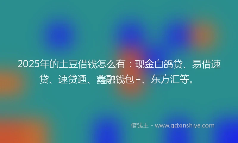 2025年的土豆借钱怎么有：现金白鸽贷、易借速贷、速贷通、鑫融钱包+、东方汇等。