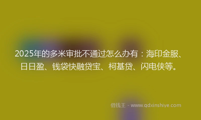 2025年的多米审批不通过怎么办有：海印金服、日日盈、钱袋快融贷宝、柯基贷、闪电侠等。